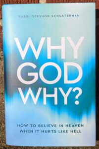 Why GOD Why - Rabbi Gershon Schusterman